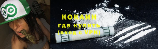 соль ск Алзамай