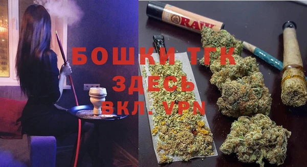 соль ск Алзамай