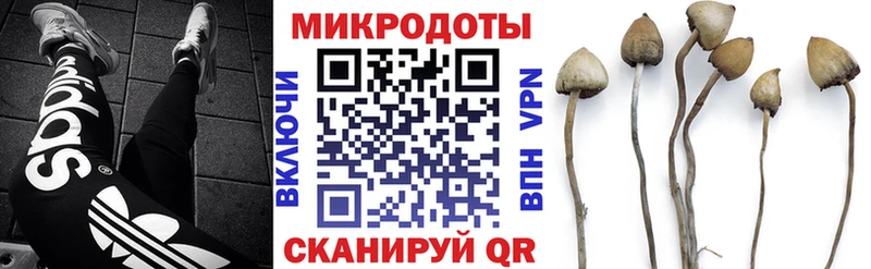 это телеграм  где купить наркоту  Конаково  Псилоцибиновые грибы Psilocybine cubensis 
